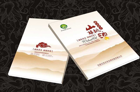 飛印網(wǎng)宣傳冊印刷
